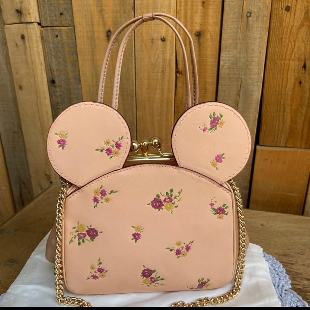 Coach Minnie Kisslock bag